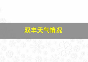 双丰天气情况