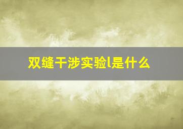 双缝干涉实验l是什么