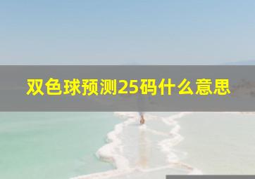 双色球预测25码什么意思