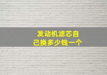 发动机滤芯自己换多少钱一个