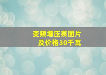 变频增压泵图片及价格30千瓦