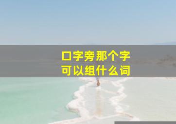 口字旁那个字可以组什么词