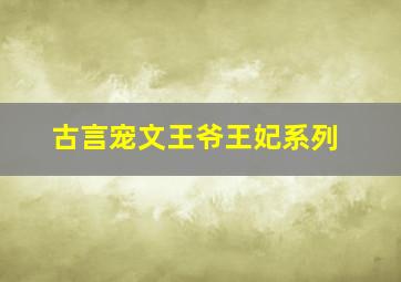 古言宠文王爷王妃系列