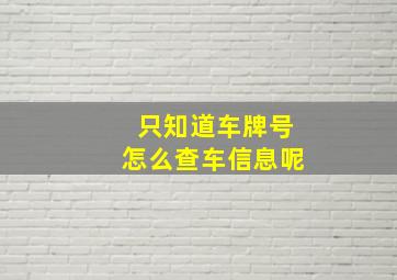 只知道车牌号怎么查车信息呢