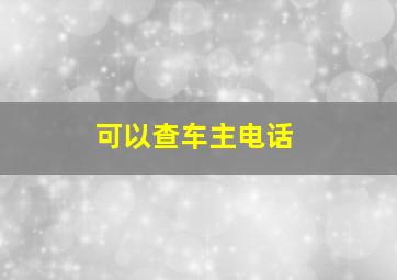 可以查车主电话