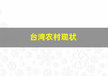 台湾农村现状