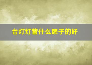 台灯灯管什么牌子的好