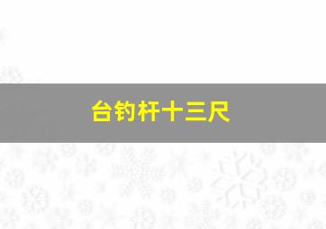 台钓杆十三尺