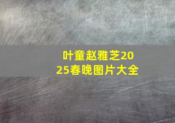 叶童赵雅芝2025春晚图片大全