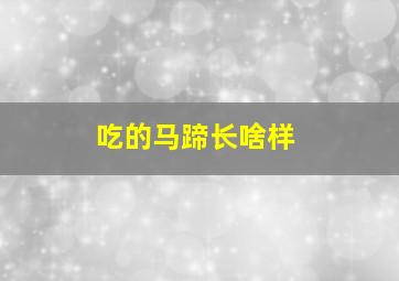 吃的马蹄长啥样