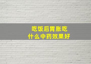 吃饭后胃胀吃什么中药效果好