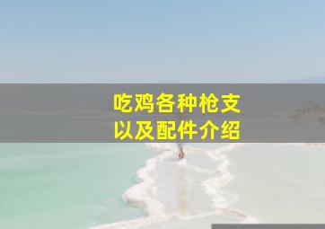 吃鸡各种枪支以及配件介绍