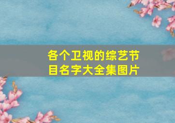 各个卫视的综艺节目名字大全集图片