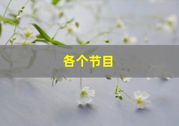 各个节目