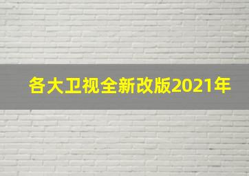 各大卫视全新改版2021年