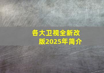 各大卫视全新改版2025年简介