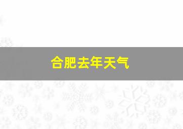 合肥去年天气