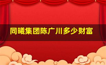 同曦集团陈广川多少财富