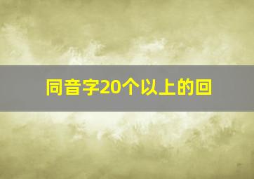 同音字20个以上的回