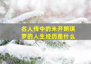 名人传中的米开朗琪罗的人生经历是什么