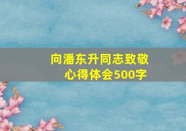 向潘东升同志致敬心得体会500字