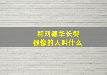 和刘德华长得很像的人叫什么