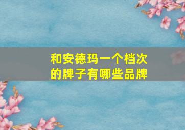 和安德玛一个档次的牌子有哪些品牌