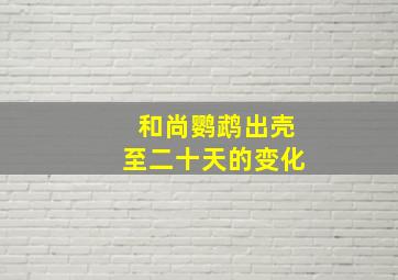 和尚鹦鹉出壳至二十天的变化