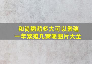 和尚鹦鹉多大可以繁殖一年繁殖几窝呢图片大全