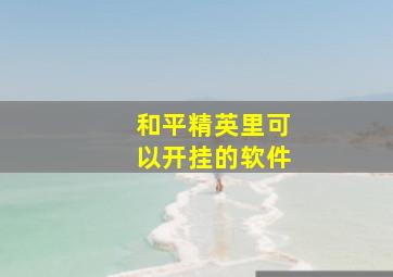 和平精英里可以开挂的软件