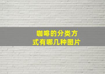 咖啡的分类方式有哪几种图片