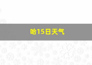 哈15日天气