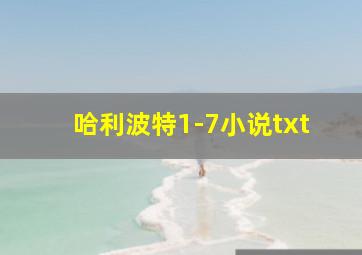 哈利波特1-7小说txt