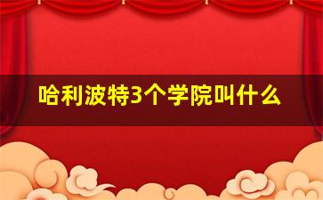 哈利波特3个学院叫什么