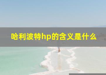 哈利波特hp的含义是什么