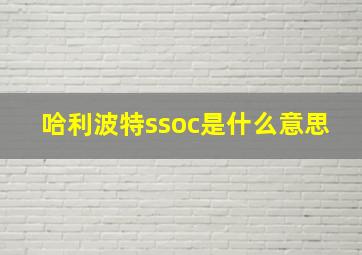 哈利波特ssoc是什么意思