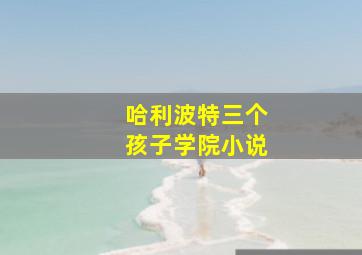 哈利波特三个孩子学院小说