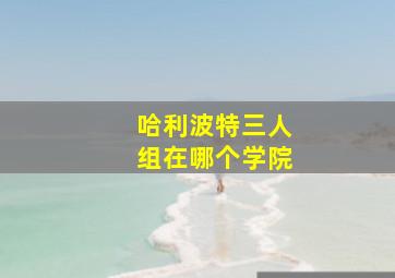 哈利波特三人组在哪个学院