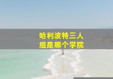 哈利波特三人组是哪个学院