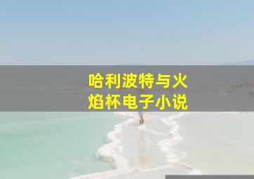 哈利波特与火焰杯电子小说