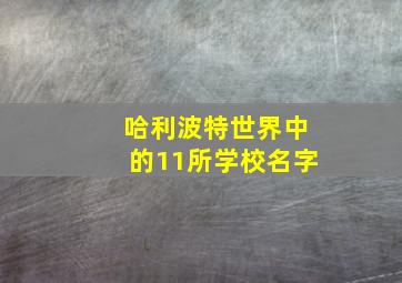 哈利波特世界中的11所学校名字