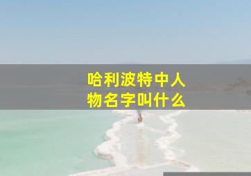 哈利波特中人物名字叫什么