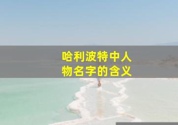 哈利波特中人物名字的含义