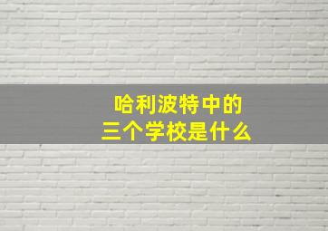 哈利波特中的三个学校是什么