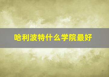 哈利波特什么学院最好