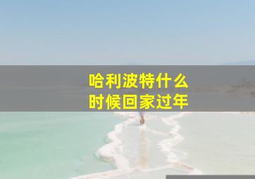 哈利波特什么时候回家过年