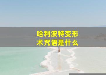 哈利波特变形术咒语是什么