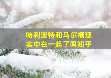 哈利波特和马尔福现实中在一起了吗知乎