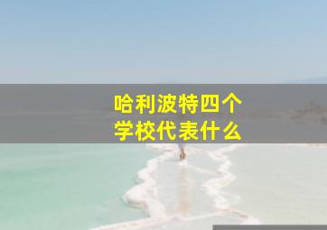 哈利波特四个学校代表什么