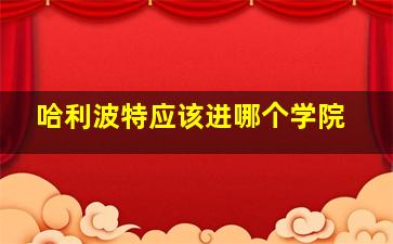 哈利波特应该进哪个学院